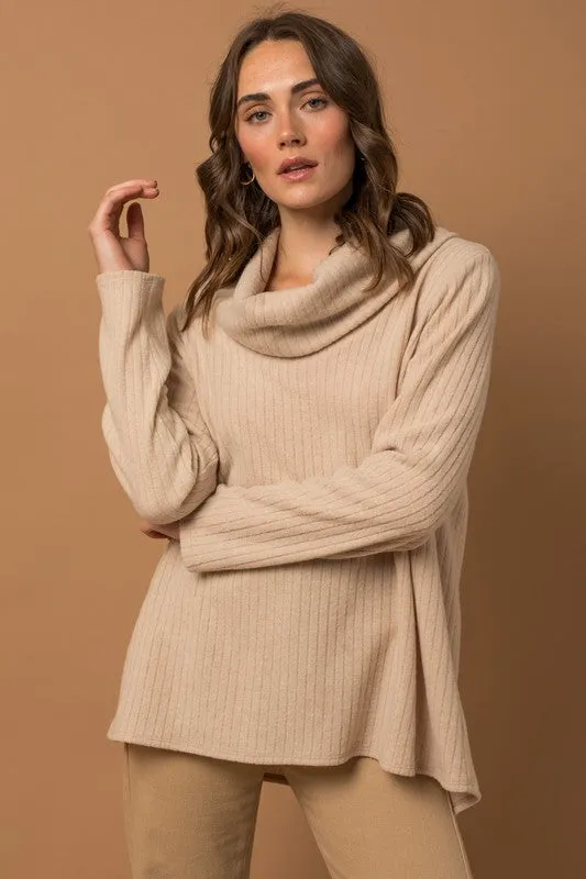 Carter Long Sleeve Turtleneck Top