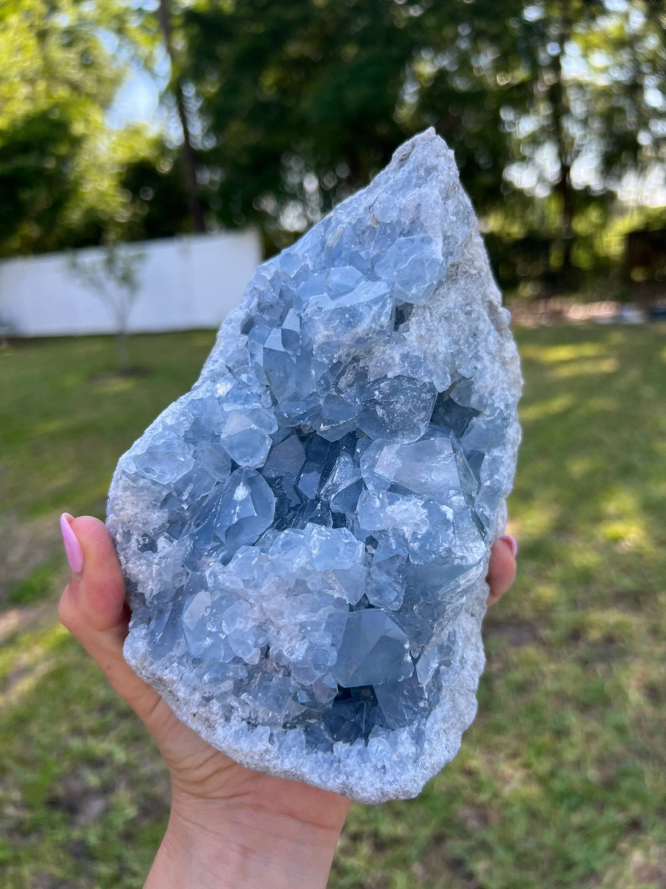 Celestite 5 pounds 14oz