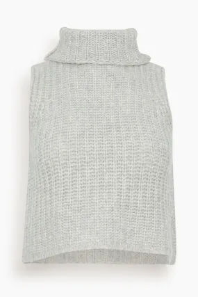 Saige Cropped Turtleneck in Foggy