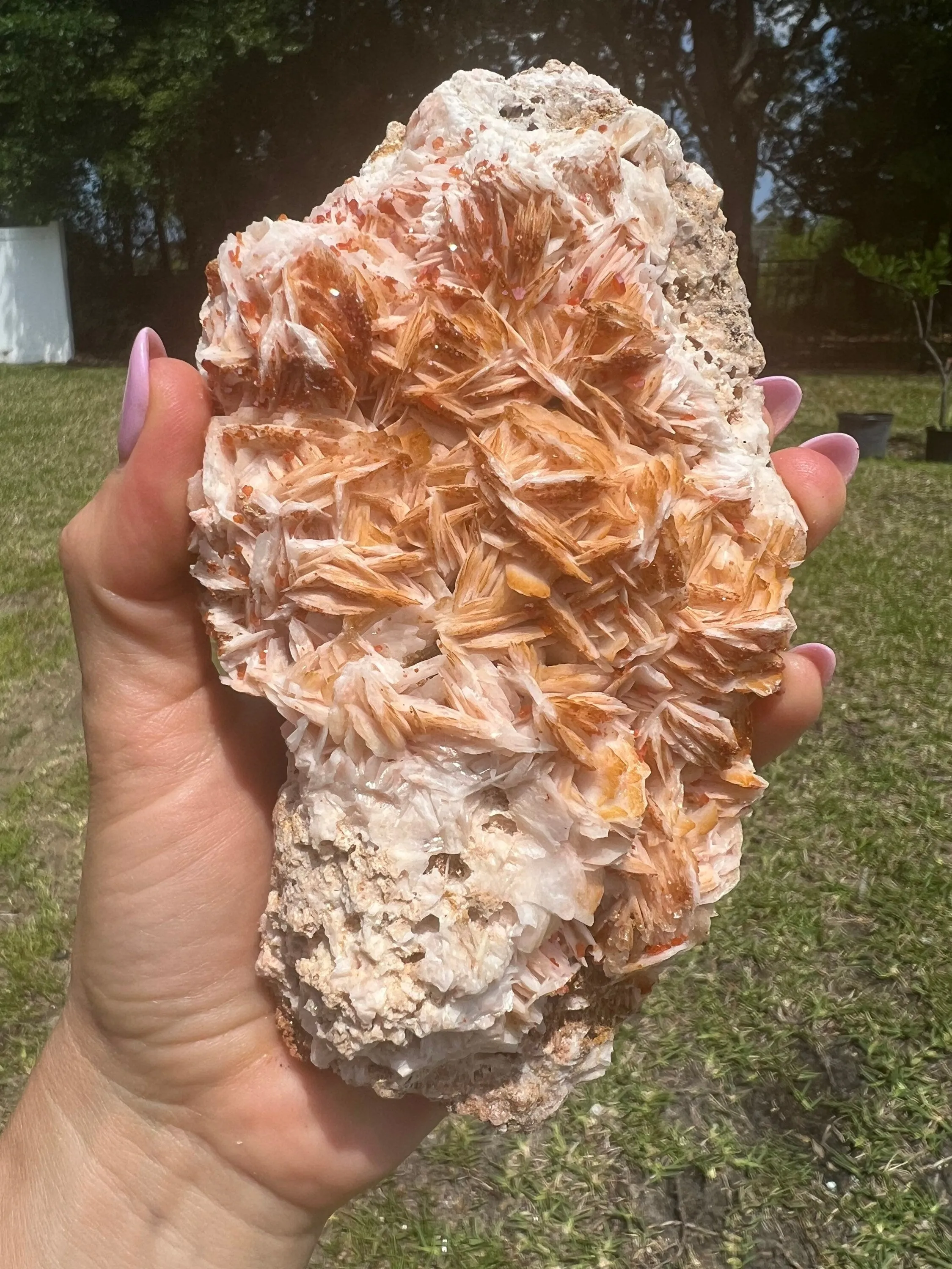 Vanadinite on Baryte 2pounds 6oz